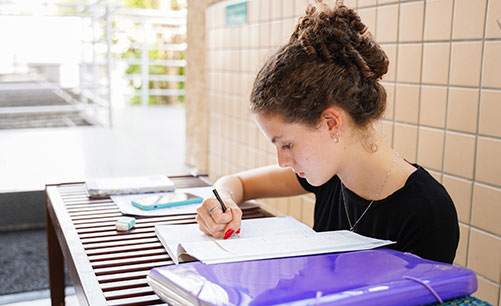 Concurso de Bolsas<br>