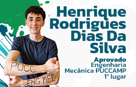 Henrique Rodrigues Dias Da Silva