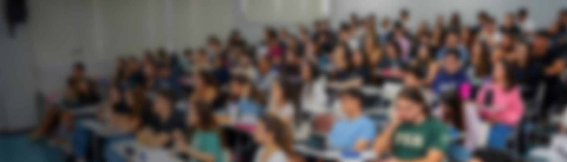 Concurso de Bolsas
